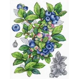 Kit point de croix "Myrtille" 28*20 cm SNV-929