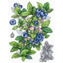 Kit point de croix "Myrtille" 28*20 cm SNV-929