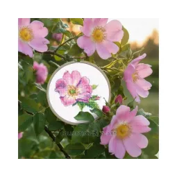 Kit de point de croix "Rose sauvage" 7,5*9 cm RTOEH383