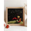 Kit point de croix PANNA "Rêves des étoiles" 17,5 x 17,5 cm PVS-7555