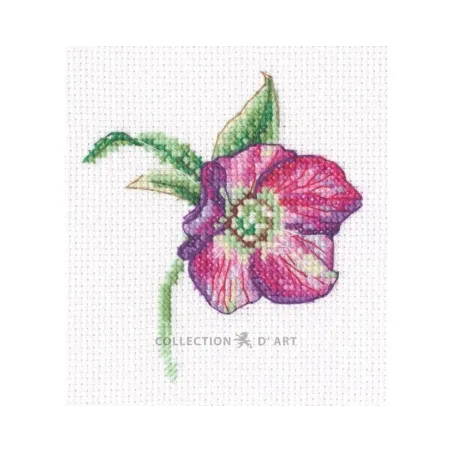 Kit point de croix "Hellebore" 8,5*9,5 cm RTOEH385
