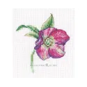 Kryželiu siuvinėjimo rinkinys "Kalėdinė rožė" 8,5*9,5 cm RTOEH385
