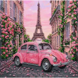 Vidutinio dydžio karoliukų siuvinėjimo rinkinys "La Vie en rose" 20 x 20 cm AAMB-141