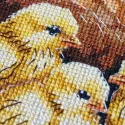 Cross-stitch kit "Hen in the Yard" 23 х 30 cm AAH-326