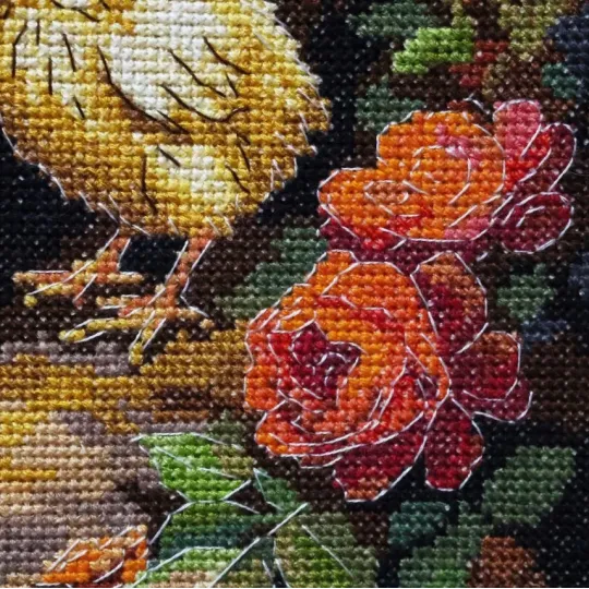 Siuvinėjimo kryželiu rinkinys "Naminis paukštis kieme" 23 x 30 cm AAH-326