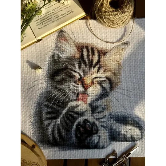 Набор для вышивания крестиком "Мягкие лапки" 27 x 27.5 cm SANM-46