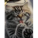 Cross stitch kit "Soft paws" 27 x 27.5 cm SANM-46