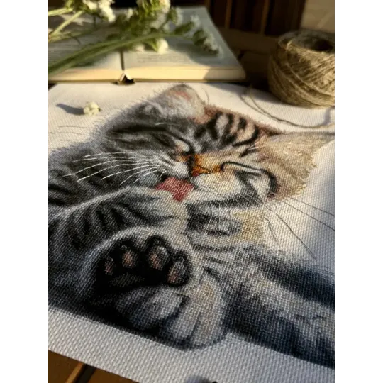 Набор для вышивания крестиком "Мягкие лапки" 27 x 27.5 cm SANM-46
