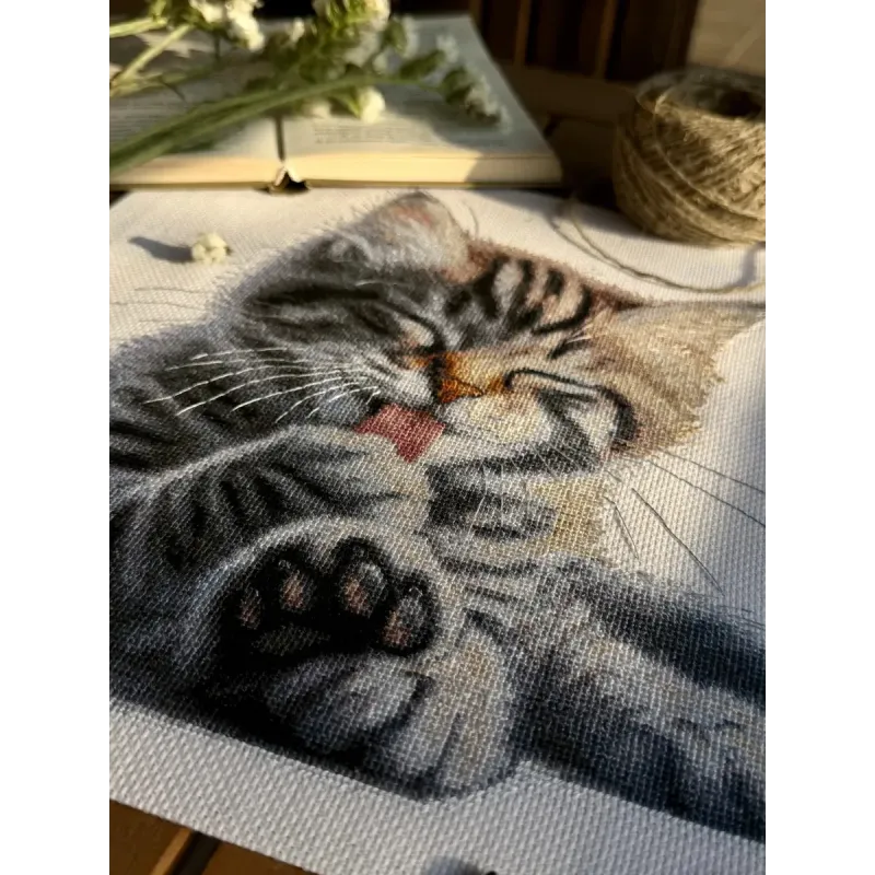 Набор для вышивания крестиком "Мягкие лапки" 27 x 27.5 cm SANM-46