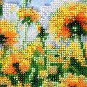 Pagrindinis karoliukų siuvinėjimo rinkinys "Svajonė" 20 x 24 cm AAB-979
