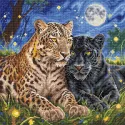 Cross stitch kit "The Night of the Felines" 31.75 × 31.75 cm AVA-P160