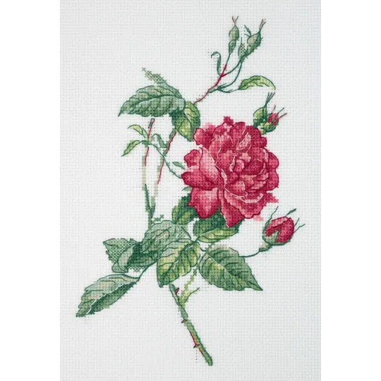 Cross stitch kit KLART "Botany. Rose" KL8-531 (D)
