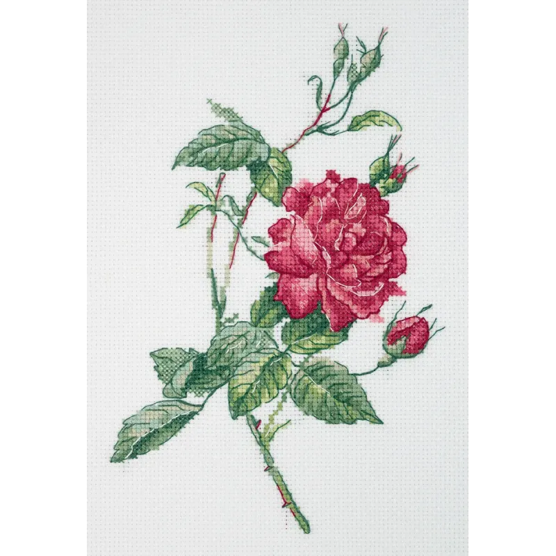 Kreuzstich-Set KLART "Botanik. Rose" KL8-531 (D)