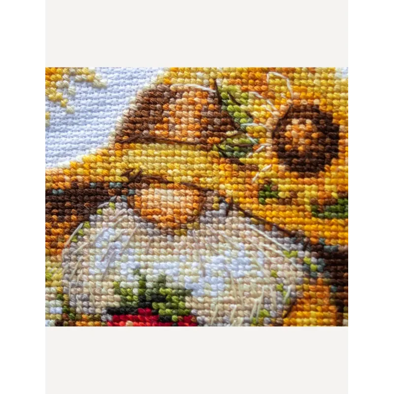 Kreuzstich-Set "Sonnenschein-Gnom" 20x20 cm SRA1043