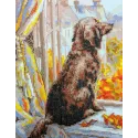 Kit de point de croix "Allons nous promener !" 18x24 SR2256