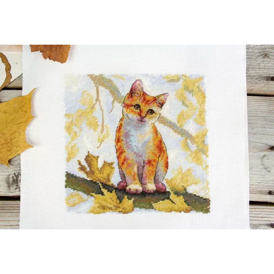 Cross stitch kit "Fluffy ginger cat" 19x19 cm SNV-908