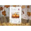 Cross Stitch Kit. "Autumn Pumpkin" 19x18 cm SB1434