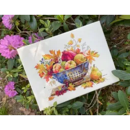 Kreuzstich-Set "September Tau" 28x33 SK253