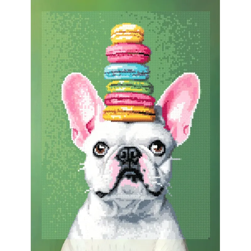 Diamond Painting Kit mit Keilrahmen "Französische Bulldogge" 30x40 cm VA861