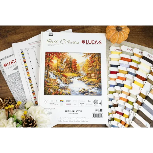 Petit Point Kit
