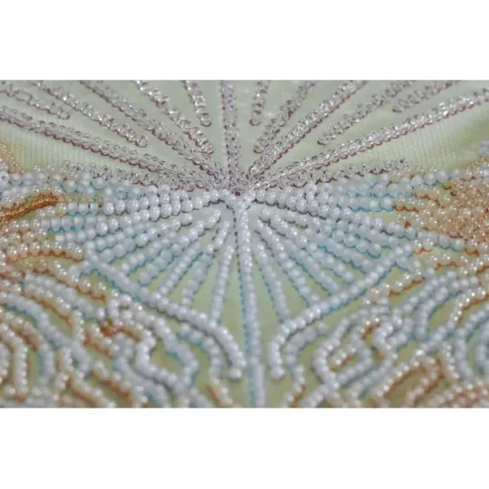 Bead Embroidery Kit on Art Canvas "Leader" 31 х 31 cm AAB-683