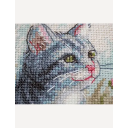 Kit point de croix "Moustaches de jardin" 20x20 SRA1041
