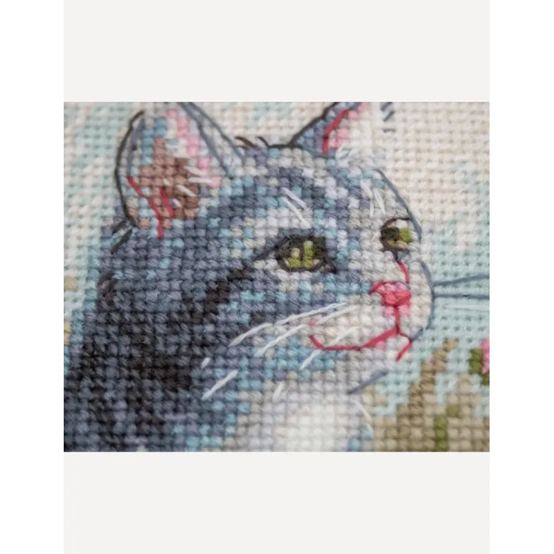 Cross stitch kit "Garden Whiskers" 20x20 SRA1041