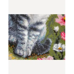 Cross stitch kit "Garden Whiskers" 20x20 SRA1041