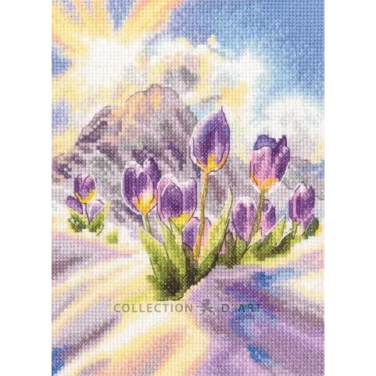 Kit point de croix "Glaïeul aquarelle" 21,5*30 cm RTOM1114