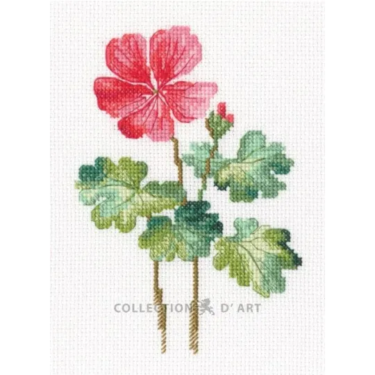 Siuvinėjimo rinkinys "Pelargonija" RTOC450
