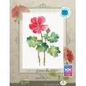 Kreuzstich-Set "Geranie" RTOC450