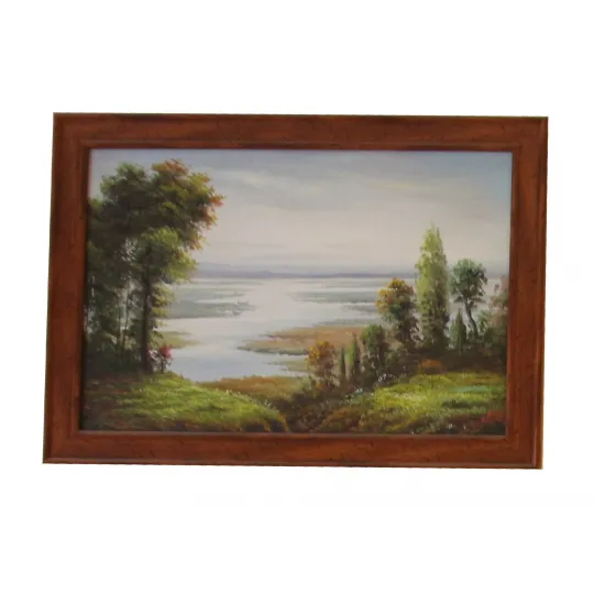 Framed painting TN02554X6N040