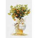 Tangerinas SB1112