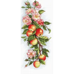 Komposition mit Apfel SB211