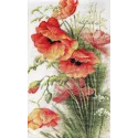 Coquelicots SB213