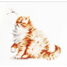 Kätzchen mit einer Libelle SB2270