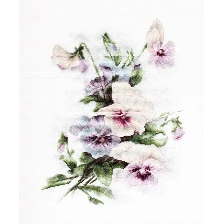 Pansies SB2231