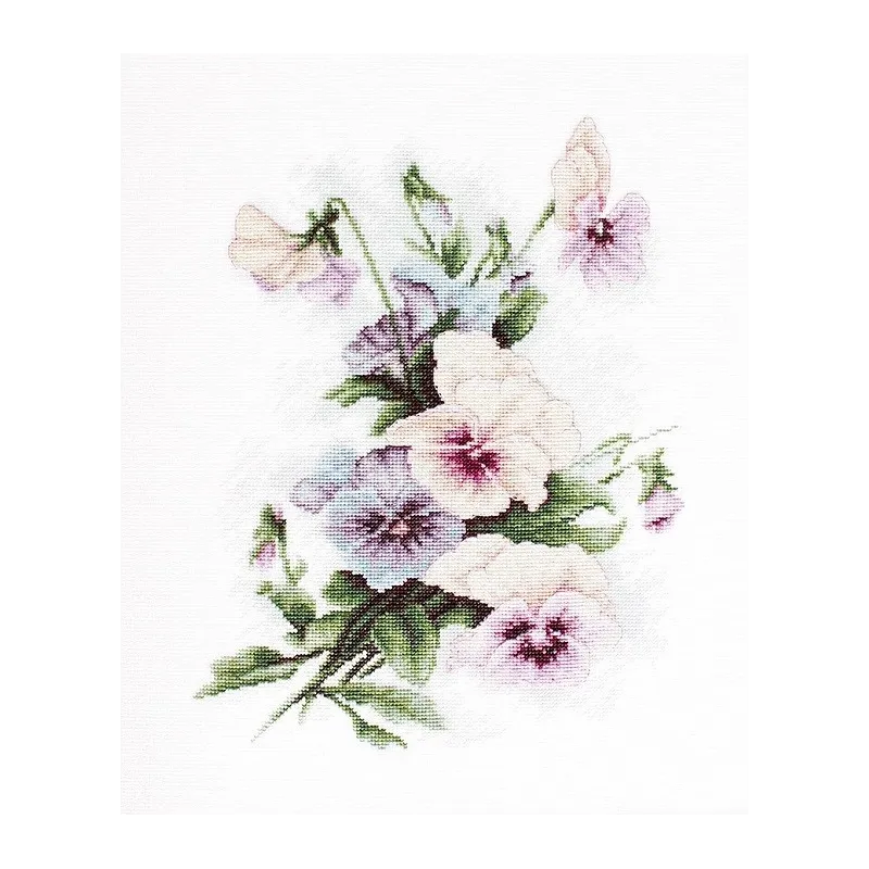 Pansies SB2231