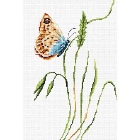 Senteur de printemps SB2244
