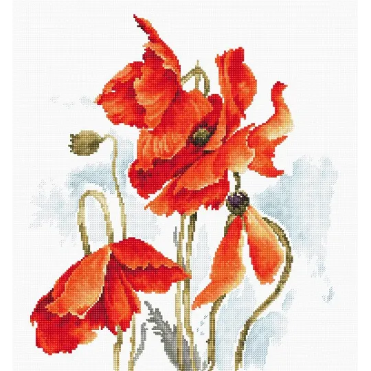 Les coquelicots SB2374