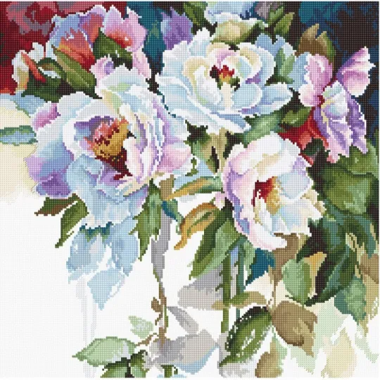 White roses SB2400