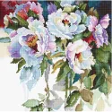 White roses SB2400