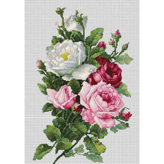 Bouquet de roses SBA22855