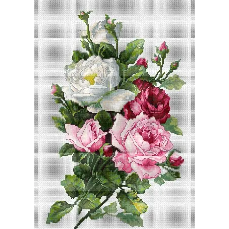 Bouquet de roses SBA22855