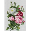 Bouquet de roses SBA22855