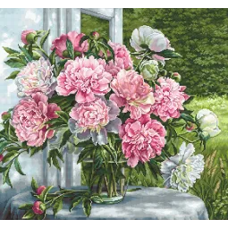 (D) Pivoines près de la fenêtre SB594