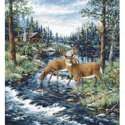 Тихое утро SB606