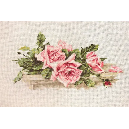 Rosa Rosen SBL22400