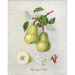 The Dauch Pear SBL22420