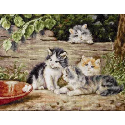 Petit Point Stickset "Die Katzen" SG556